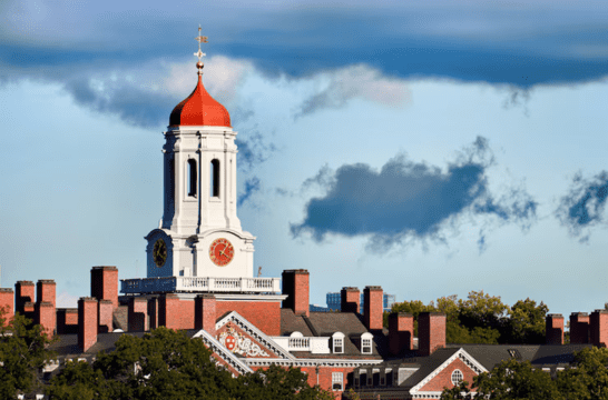Torrington Paternity Testing